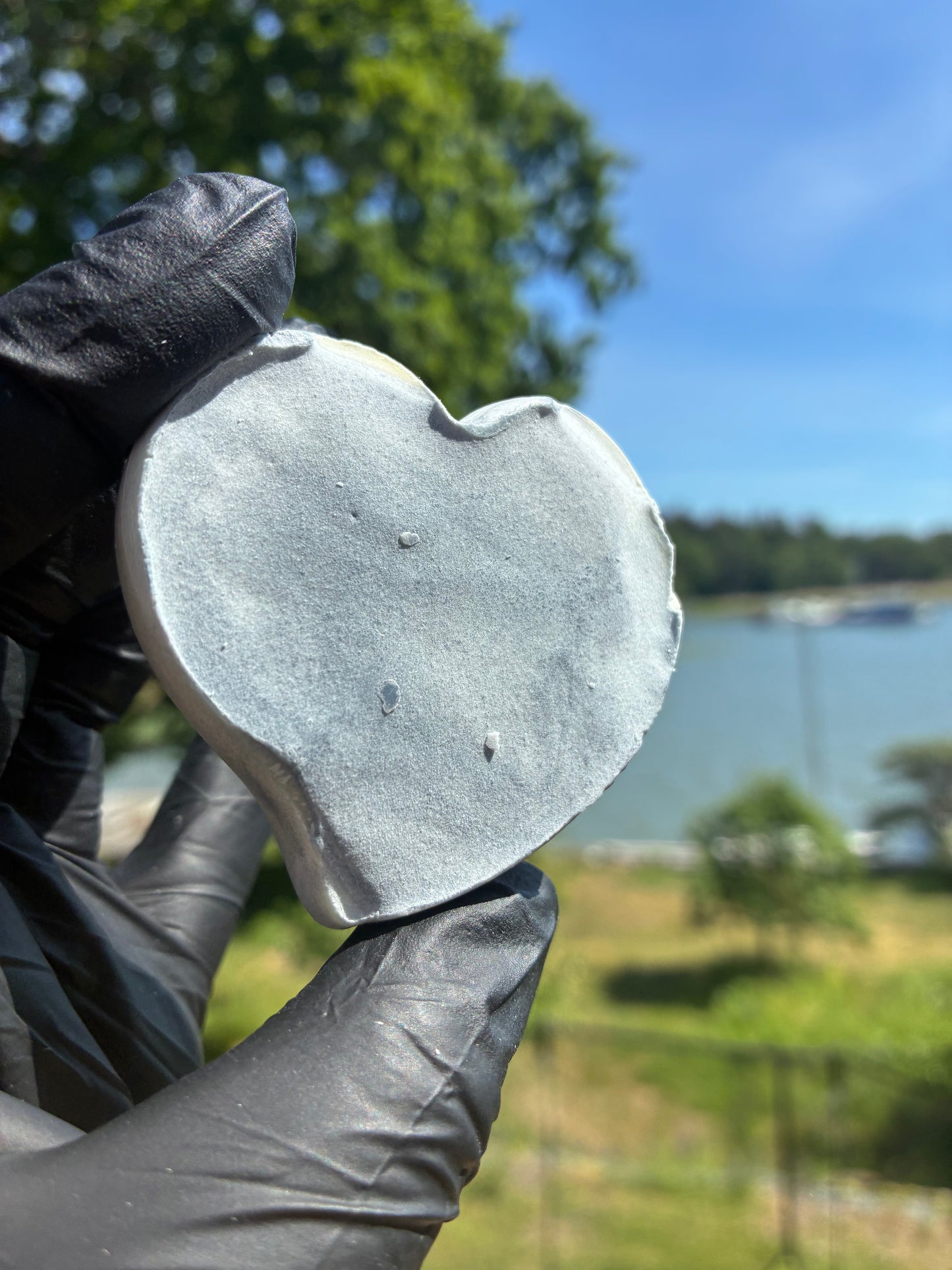 Andrasortering Sjöjungfru hjärta