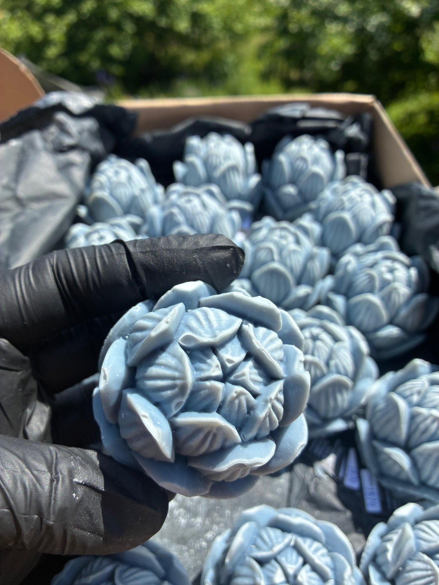 Zweiter Platz: Blauer Lotus