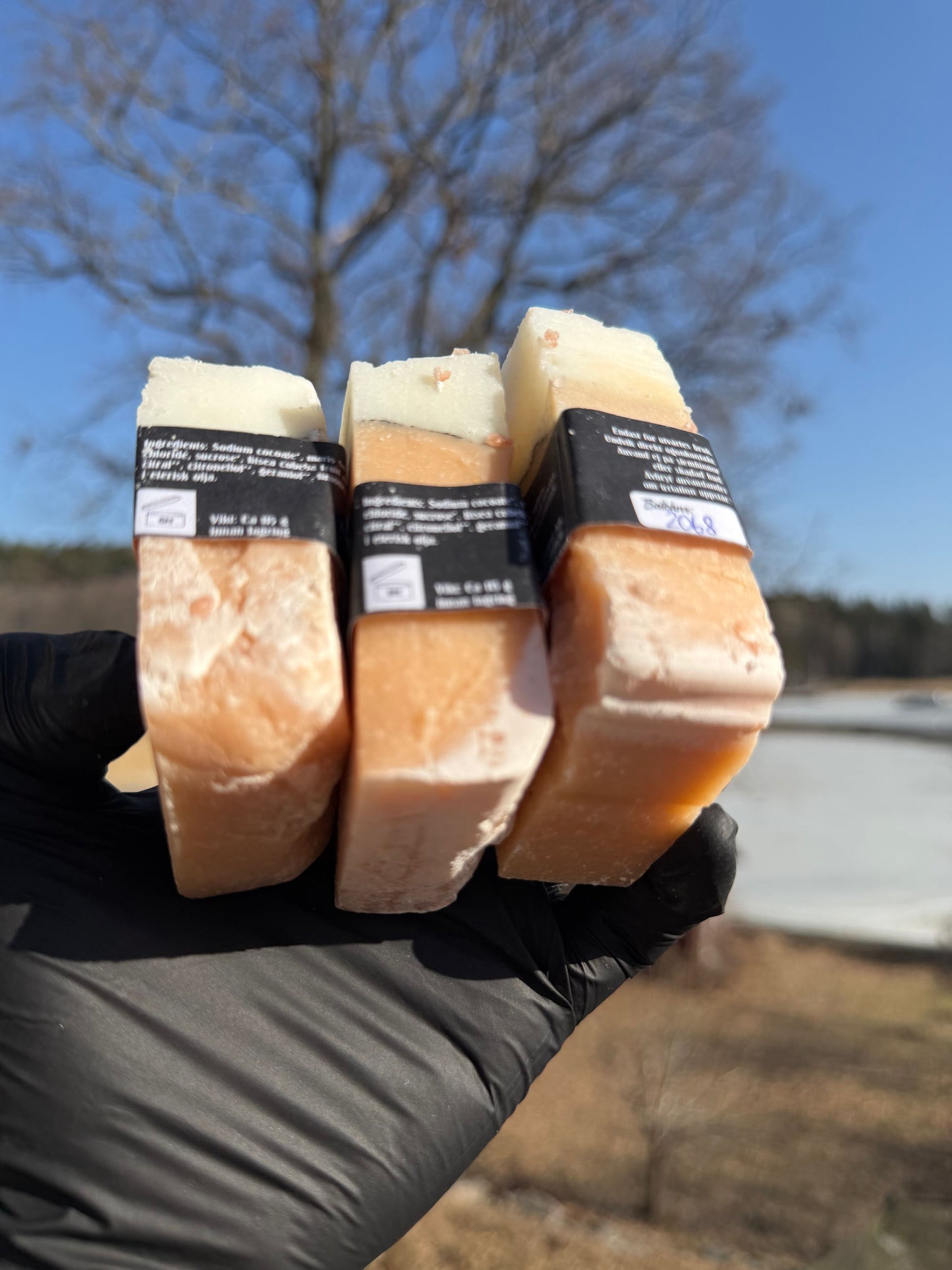 Andrasortering Saltsten