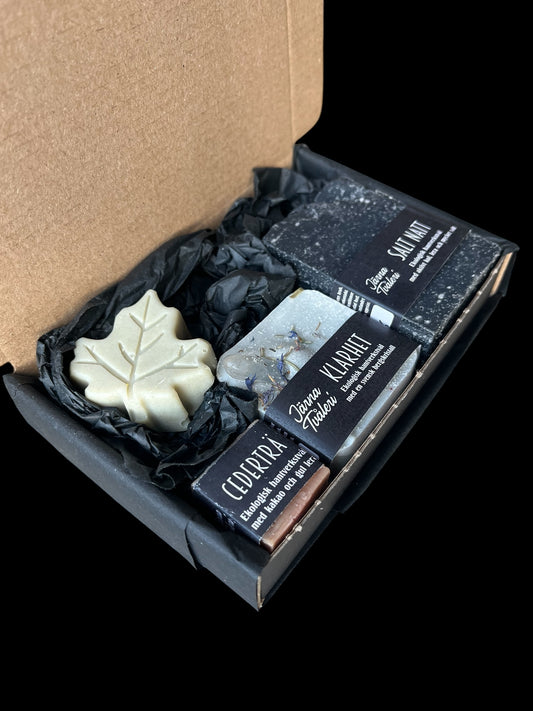 Presentlåda Utflykt