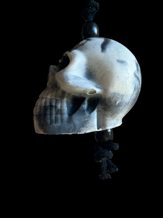 Zebralakrits skalle - vit/svart