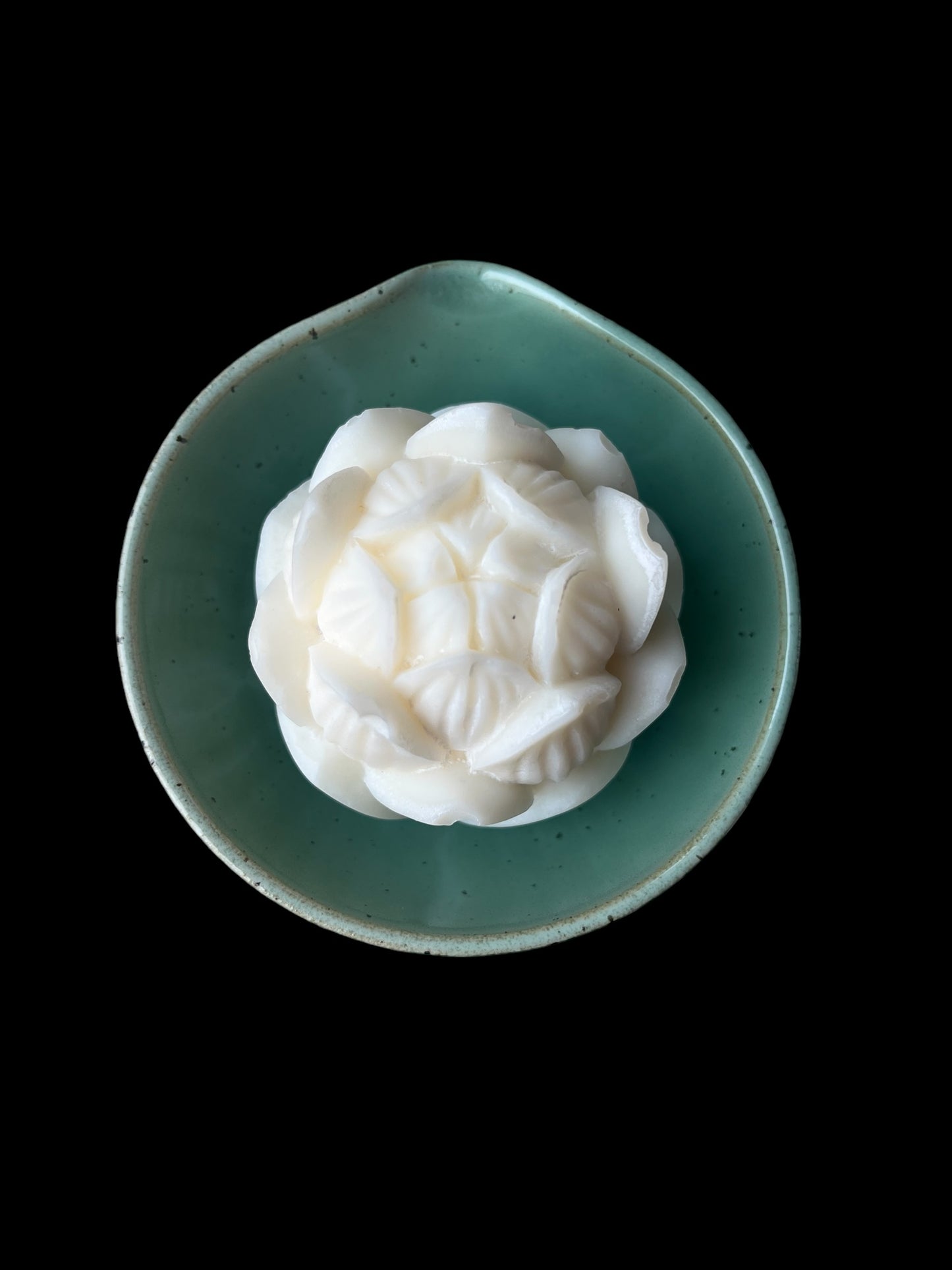 Disktvålsskål med pip mintgrön