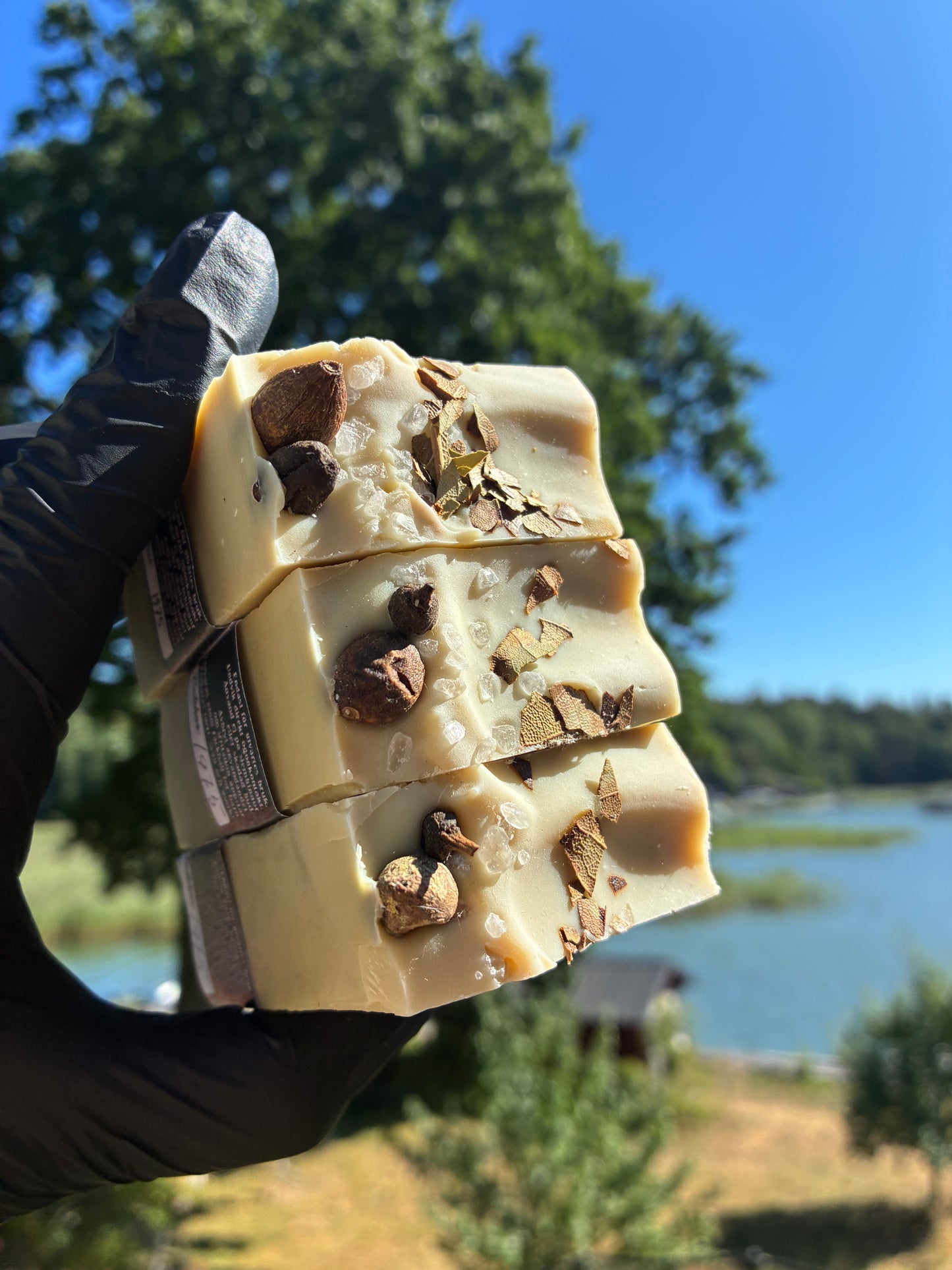Andrasortering Lagerbär
