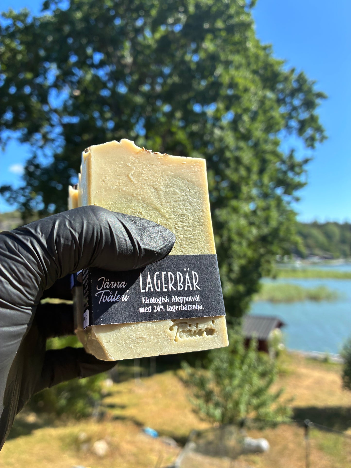 Andrasortering Lagerbär