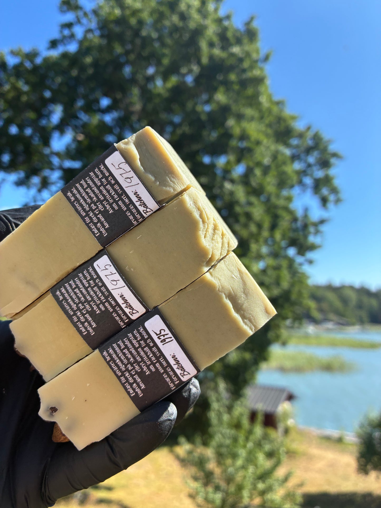 Andrasortering Lagerbär
