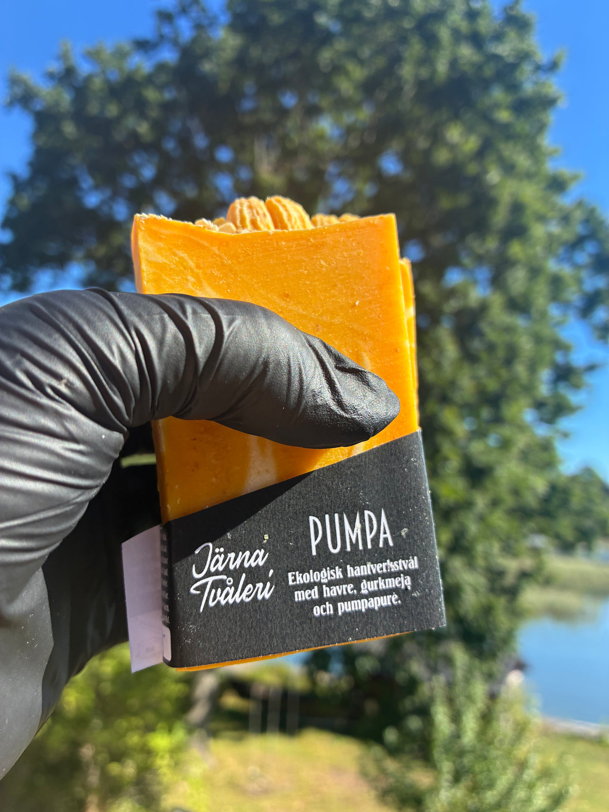 Andrasortering Pumpa halva