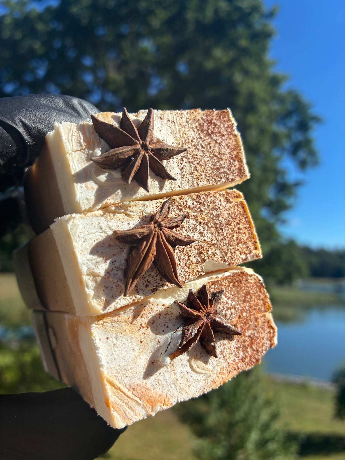 Stück Kuchen