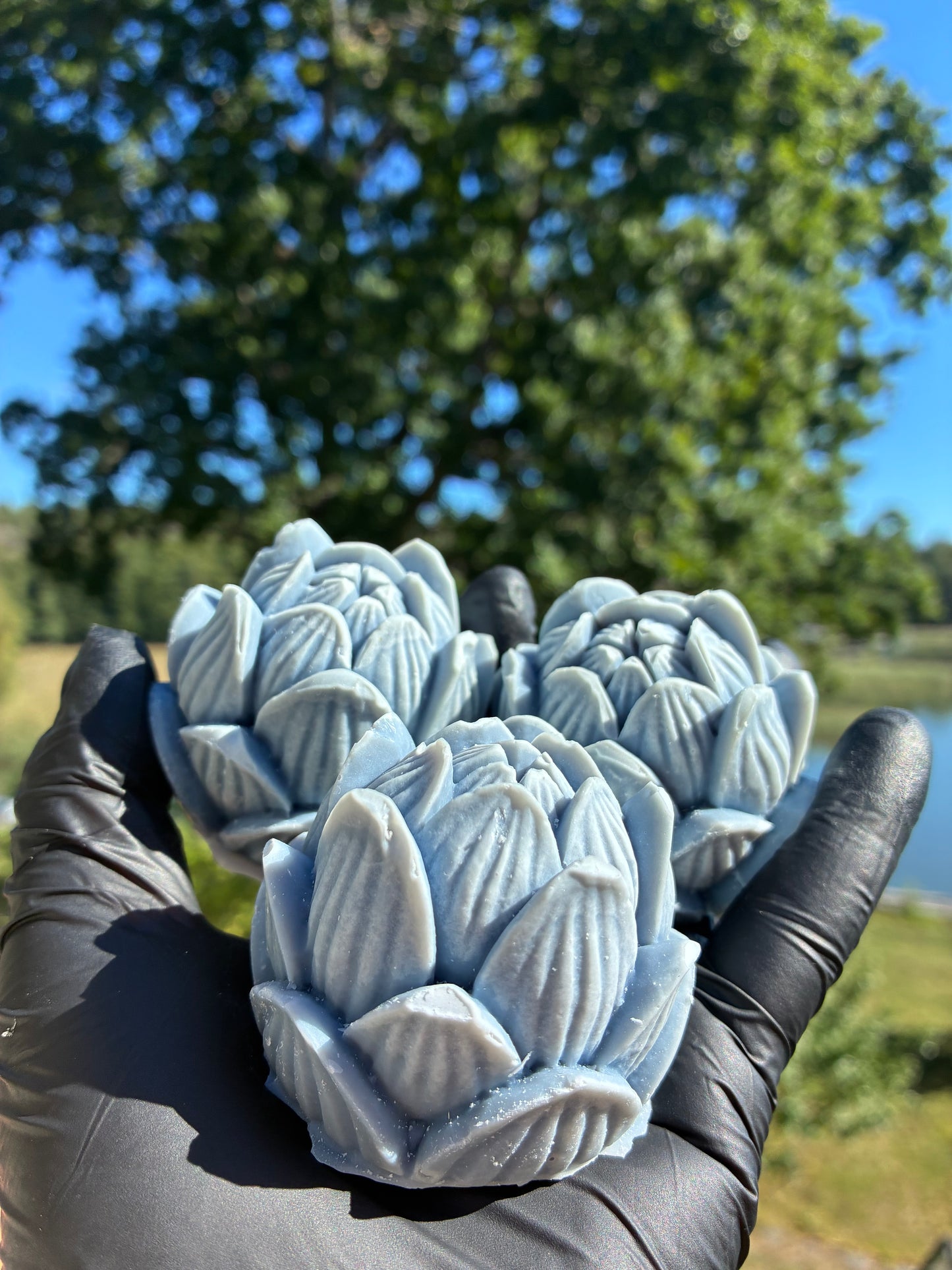 Zweiter Platz: Blauer Lotus