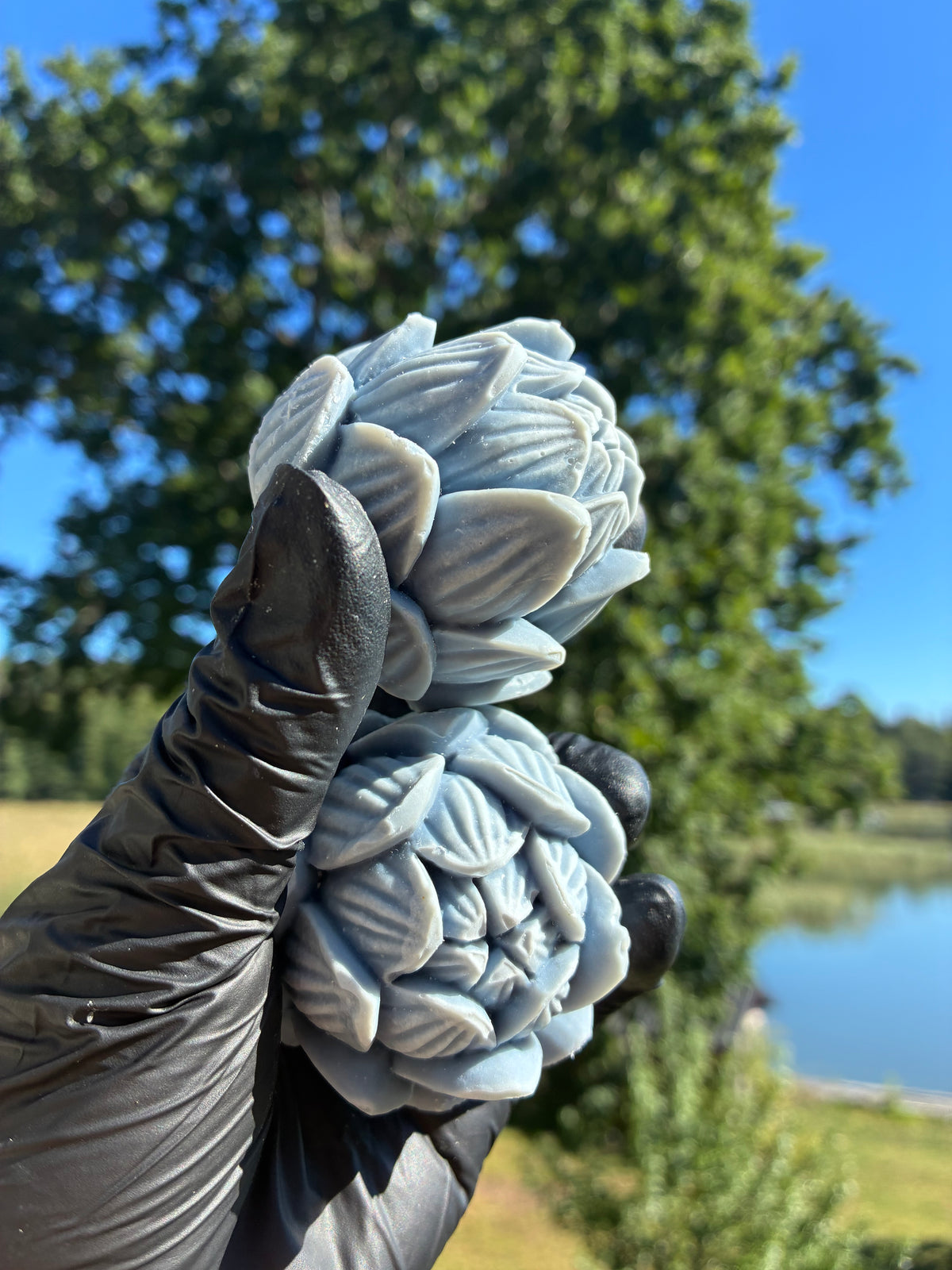 Zweiter Platz: Blauer Lotus
