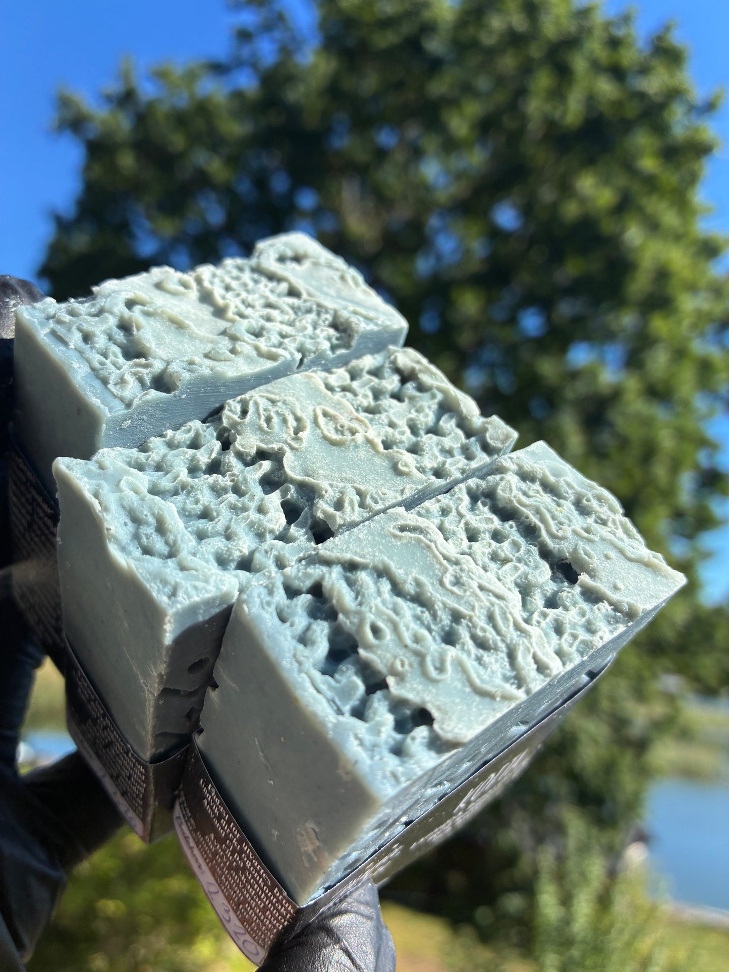 Stück Kuchen