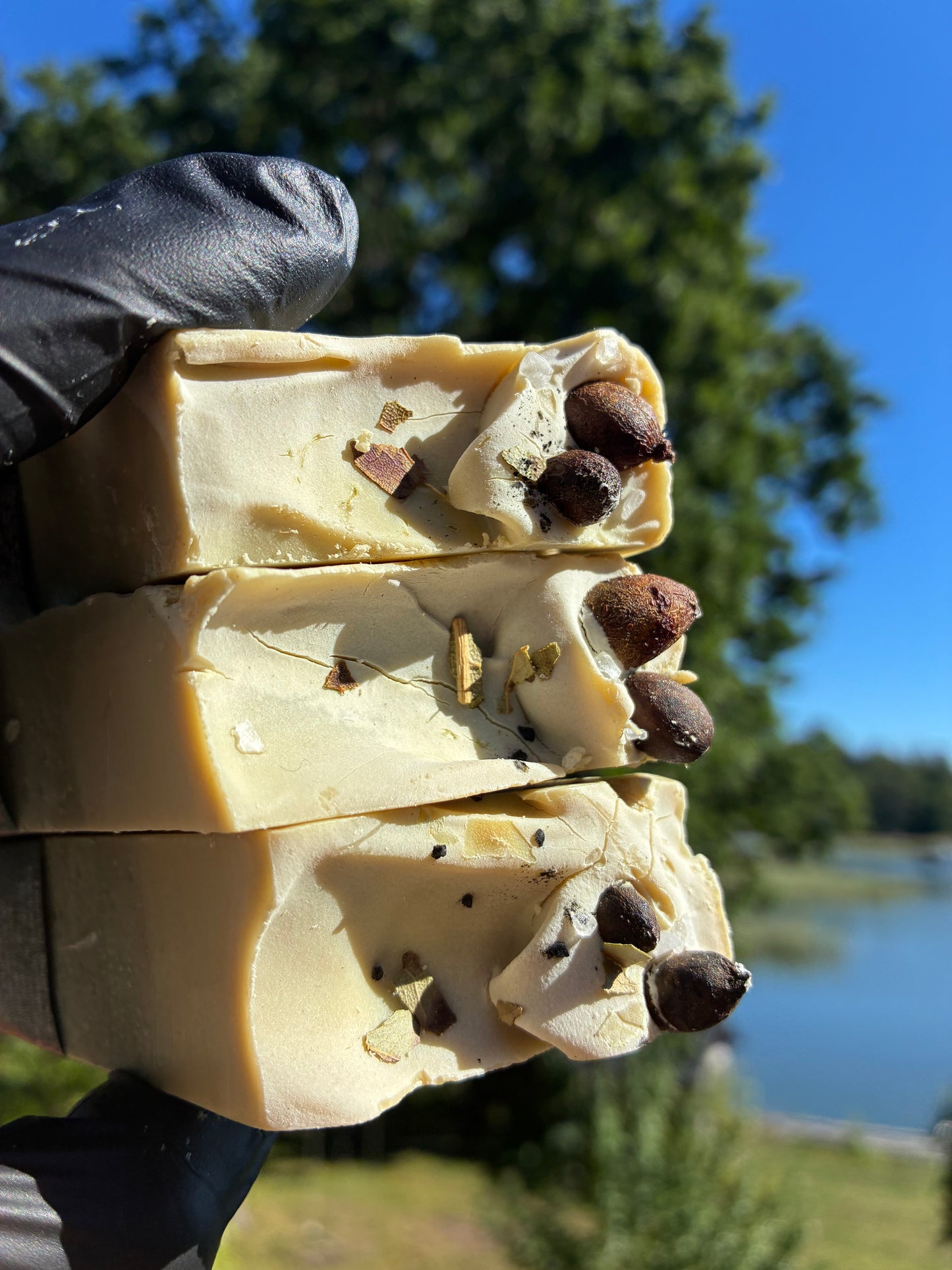 Andrasortering Lagerbär