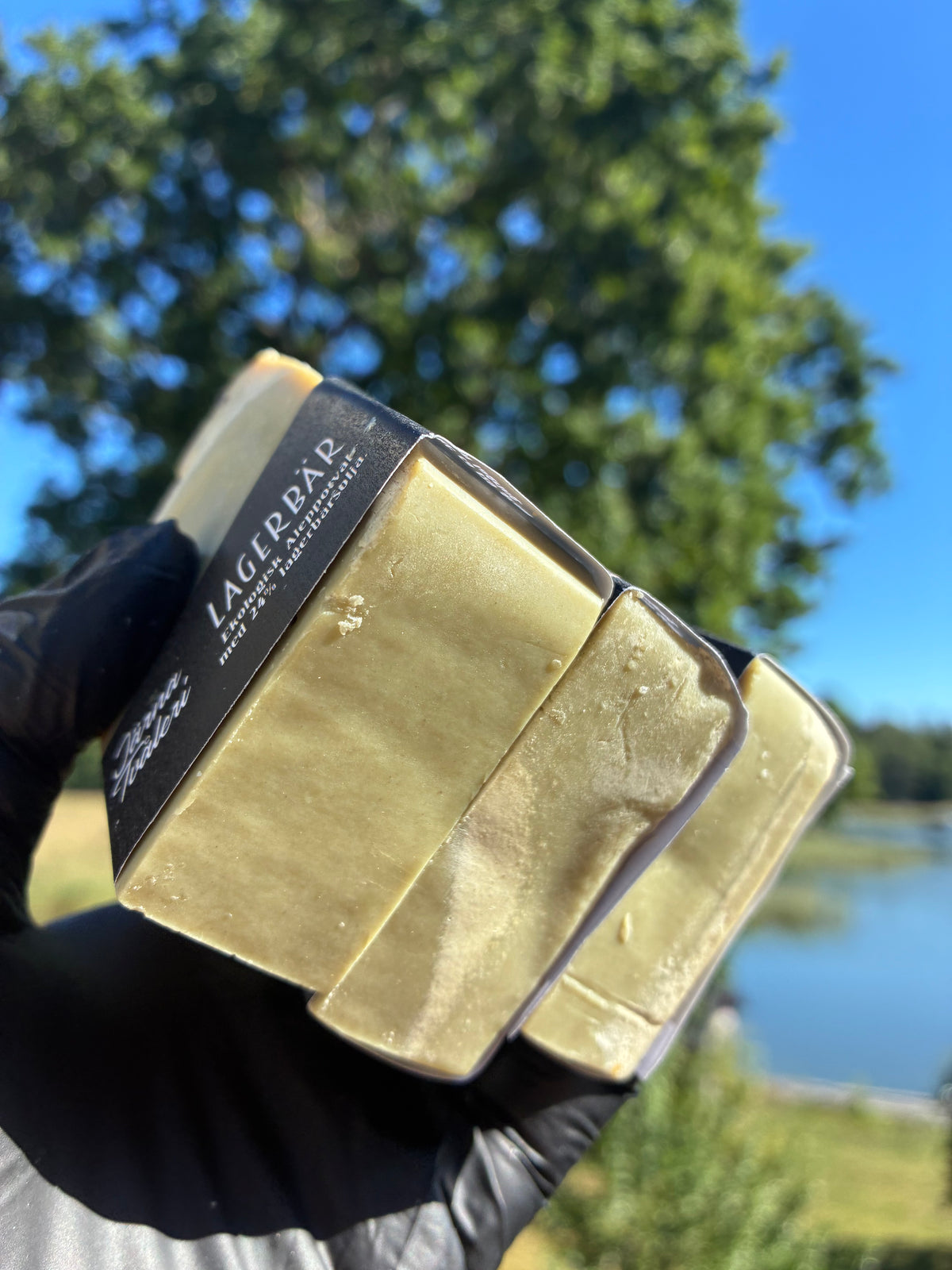 Andrasortering Lagerbär