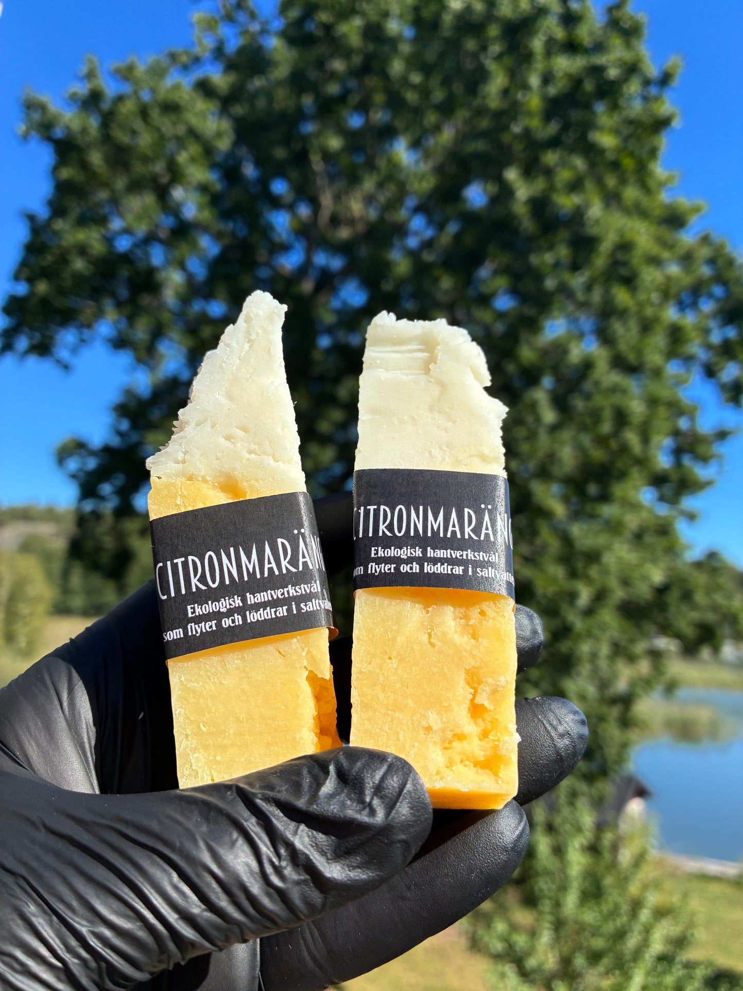 Andrasortering Citronmaräng halva