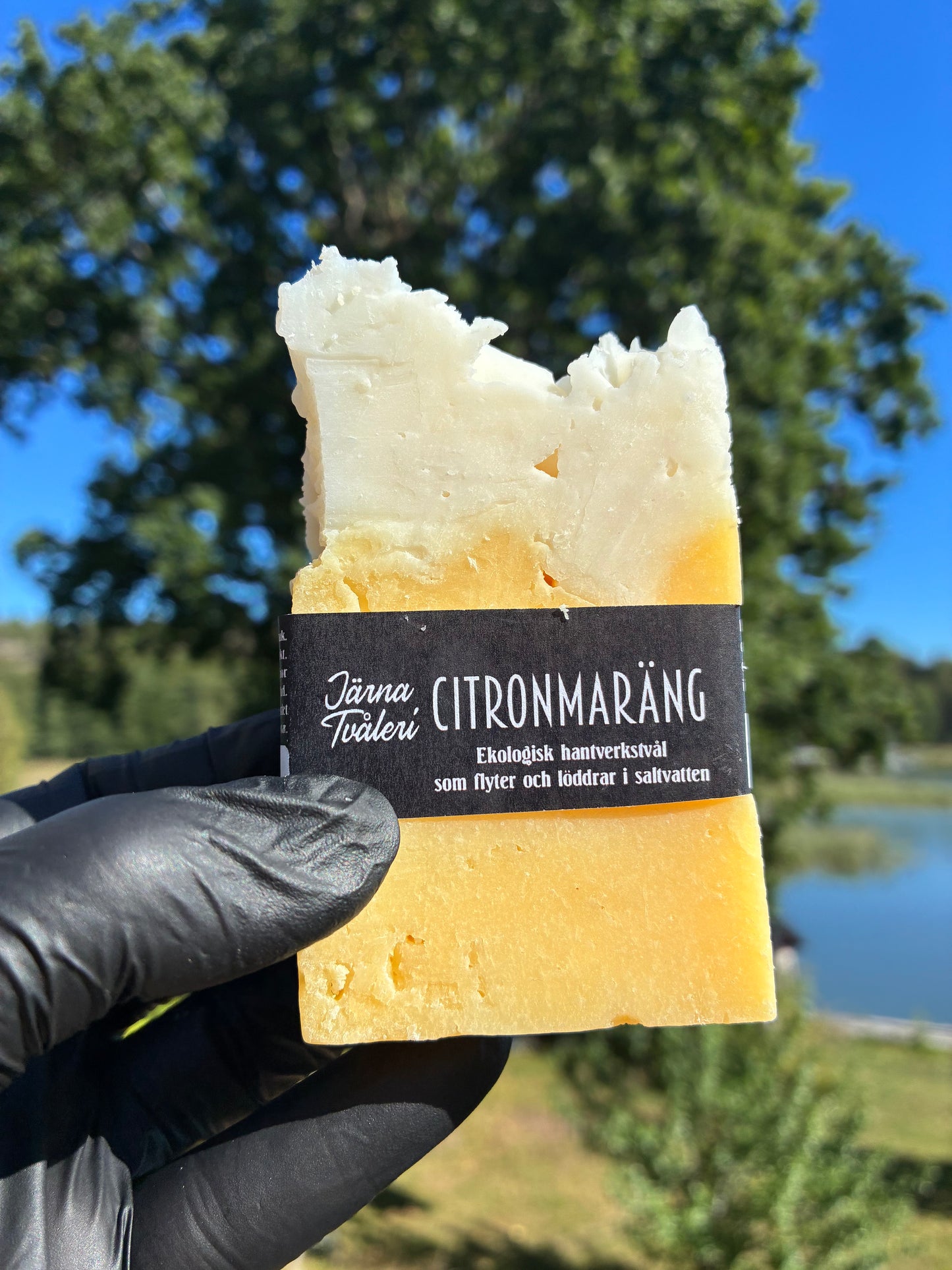 Andrasortering Citronmaräng