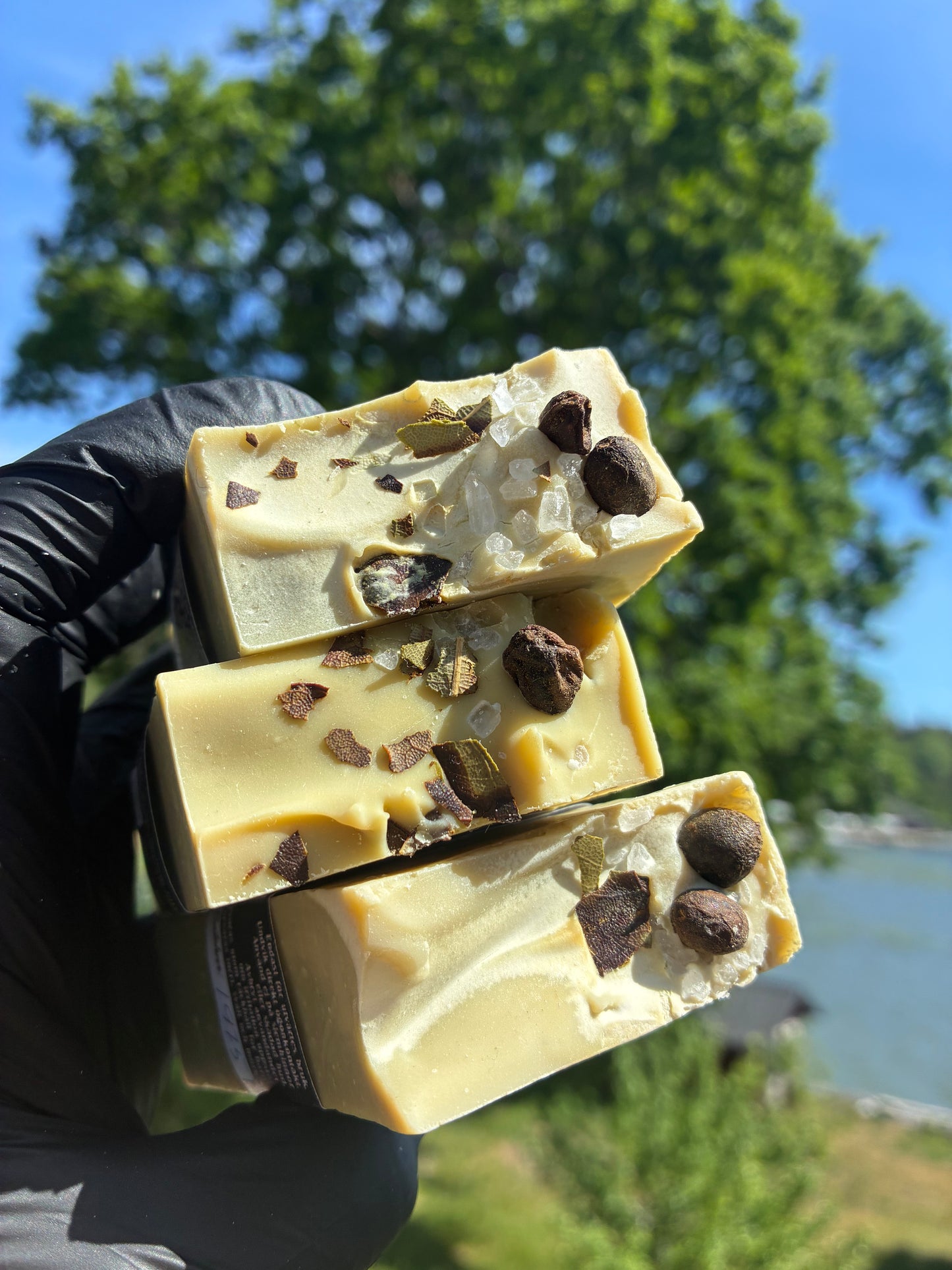 Andrasortering Lagerbär