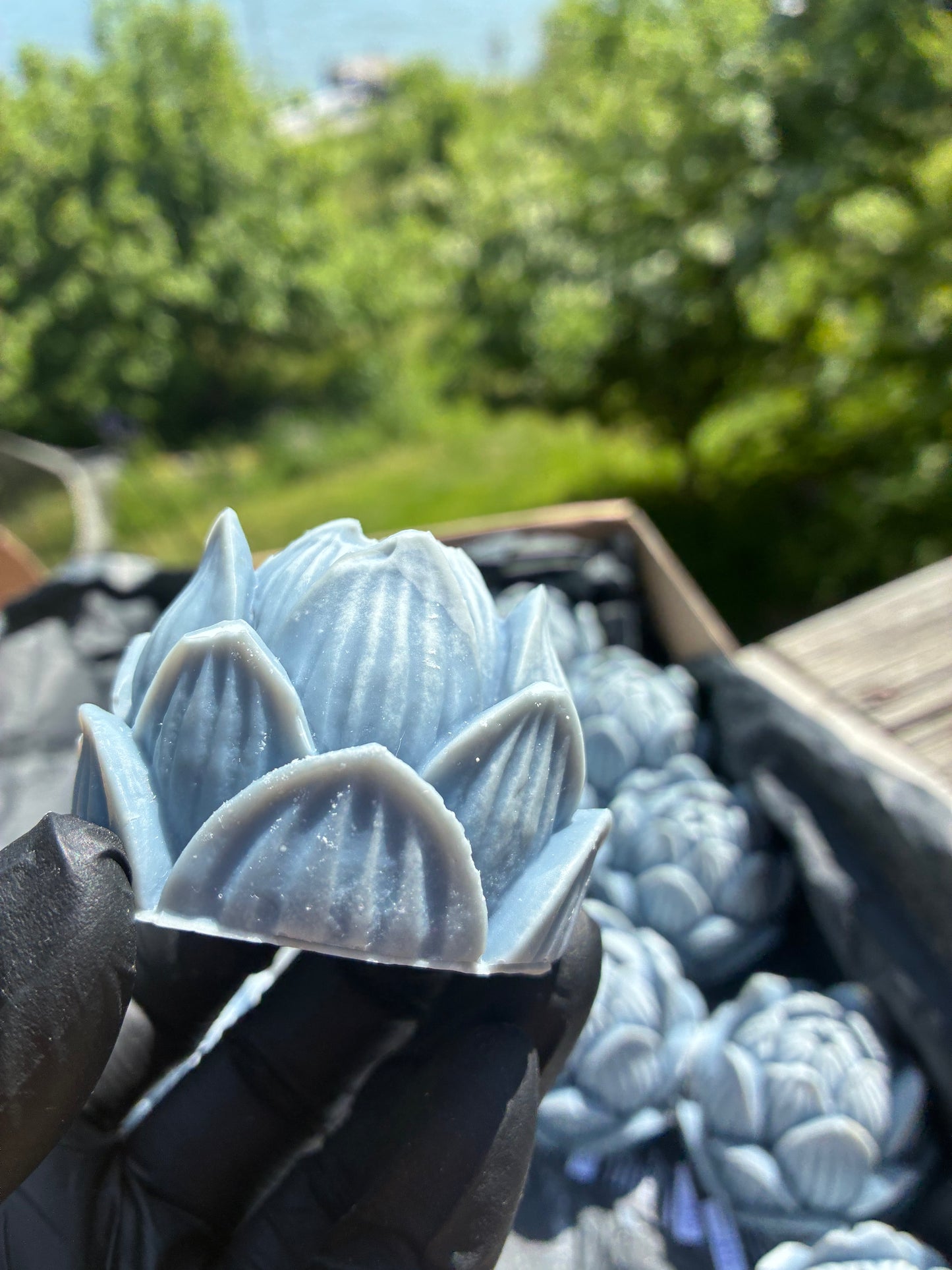 Zweiter Platz: Blauer Lotus