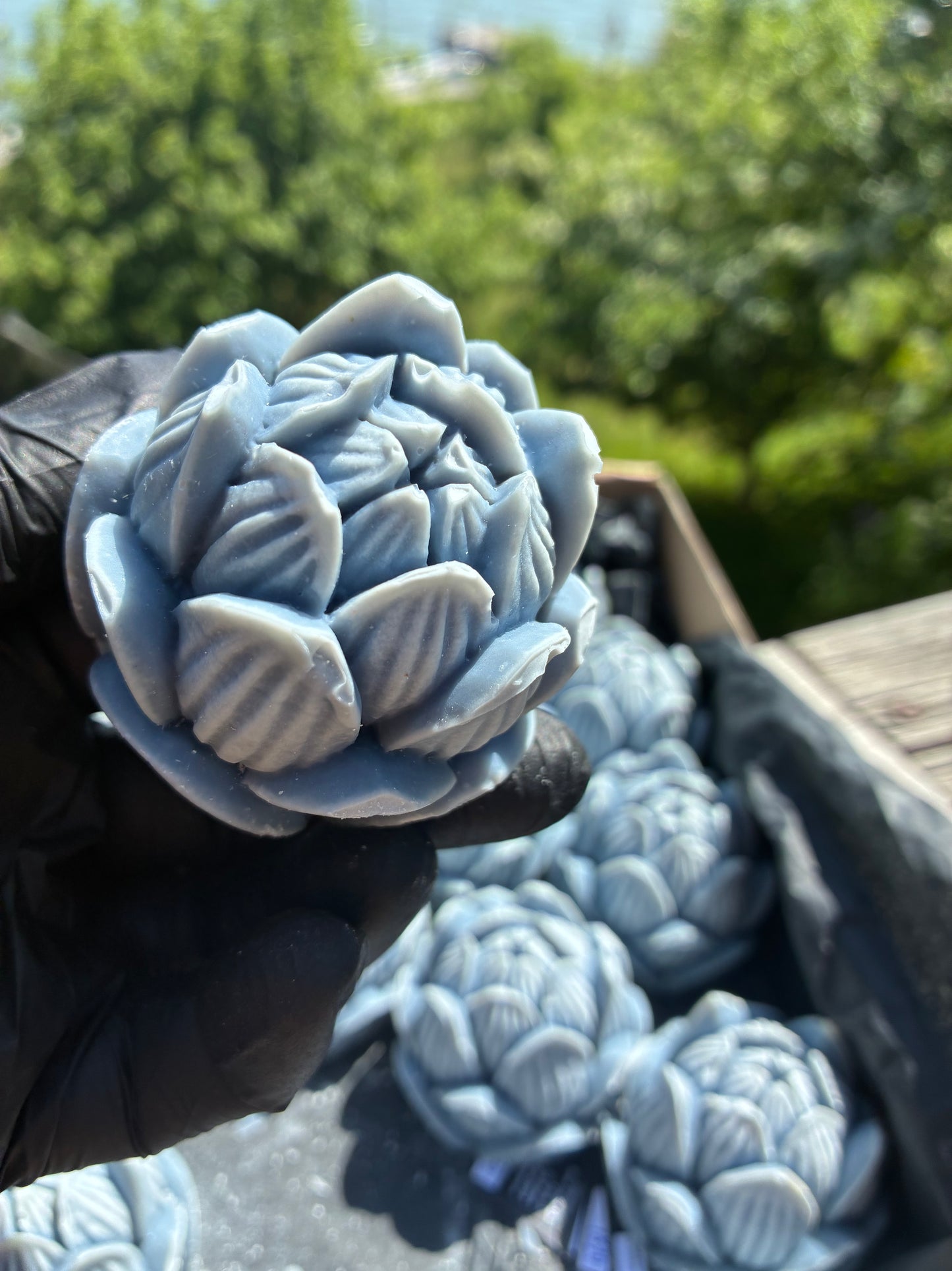 Zweiter Platz: Blauer Lotus