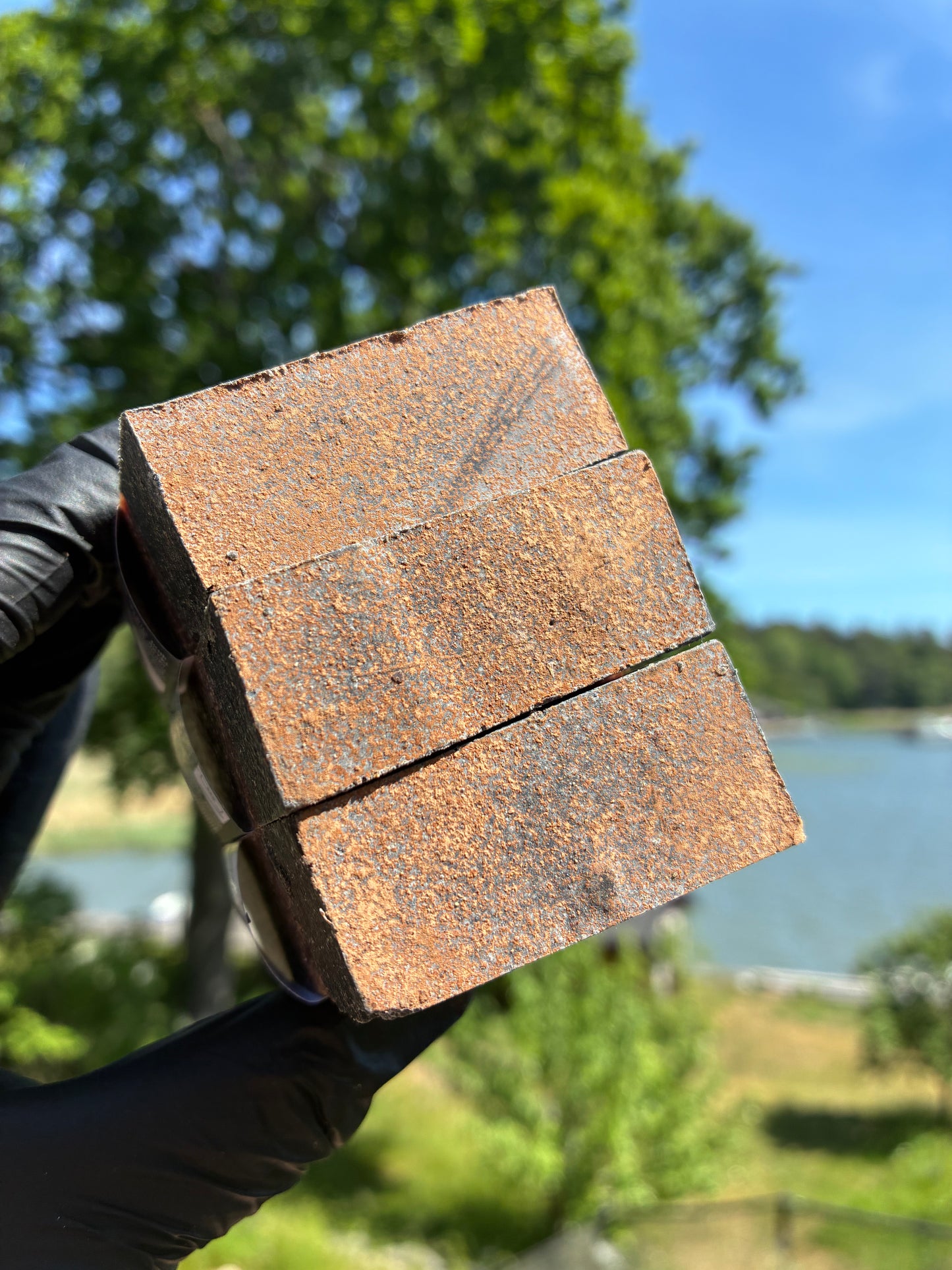 Andrasortering Saltlakrits
