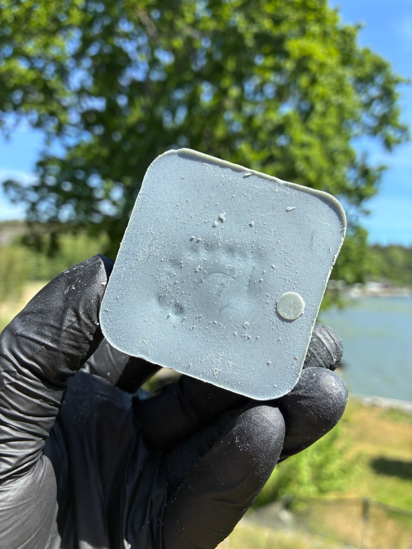 Andrasortering Blå lotus kvadrat