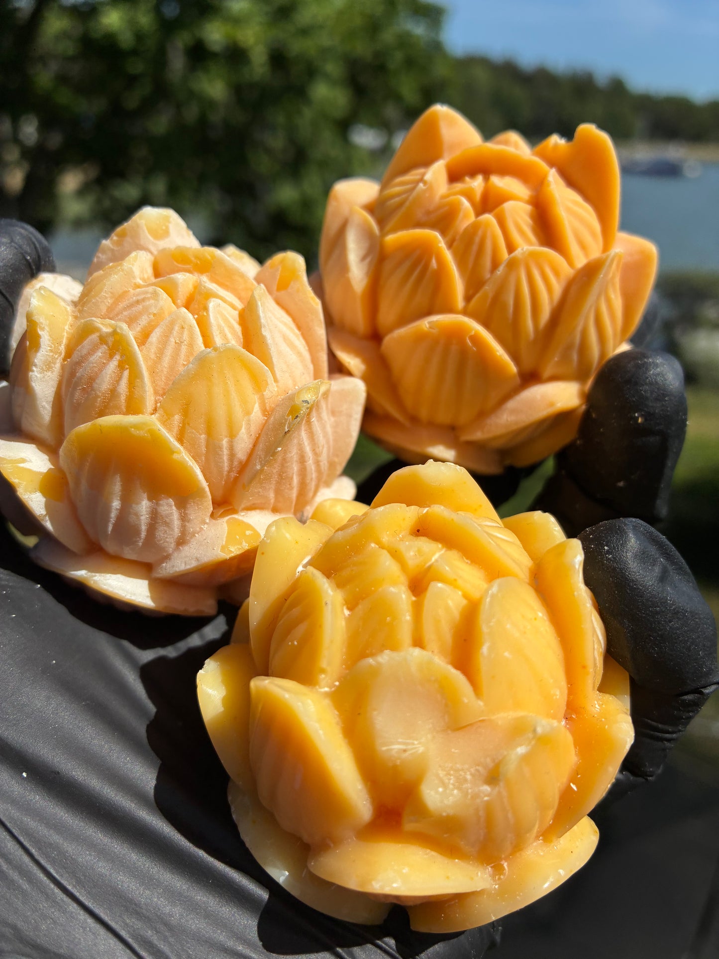 Andrasortering Gul lotus