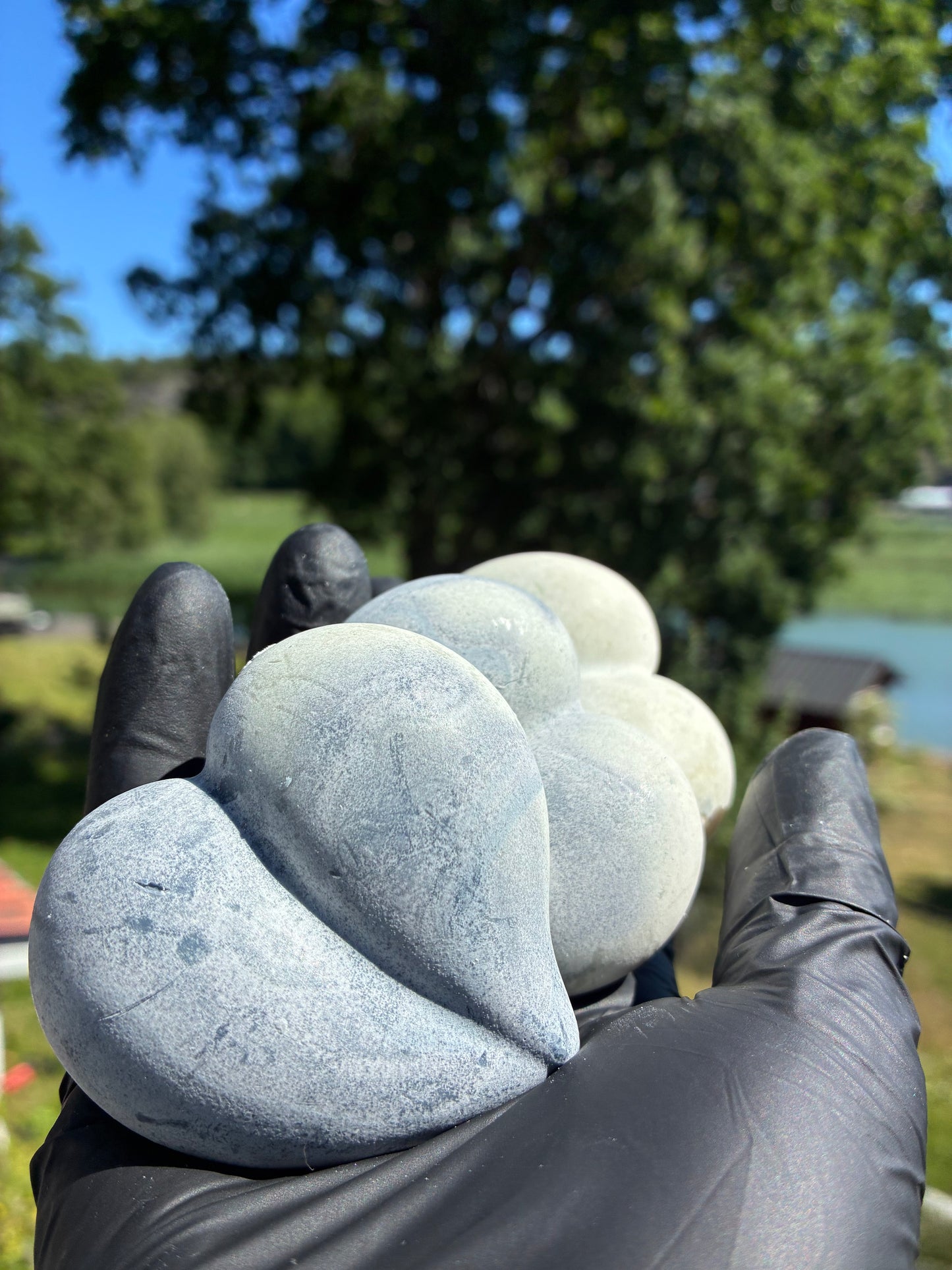 Andrasortering Sjöjungfru hjärta