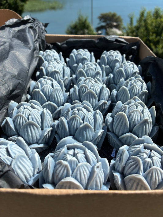 Zweiter Platz: Blauer Lotus