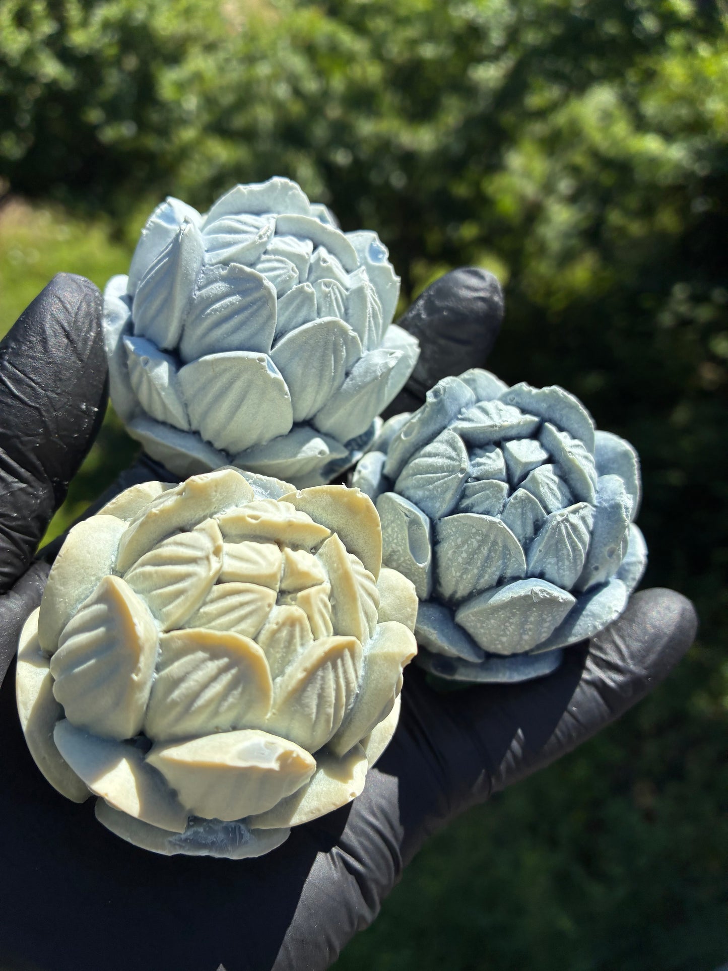 Zweiter Platz: Blauer Lotus