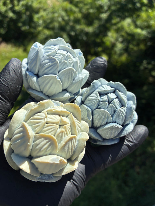 Zweiter Platz: Blauer Lotus
