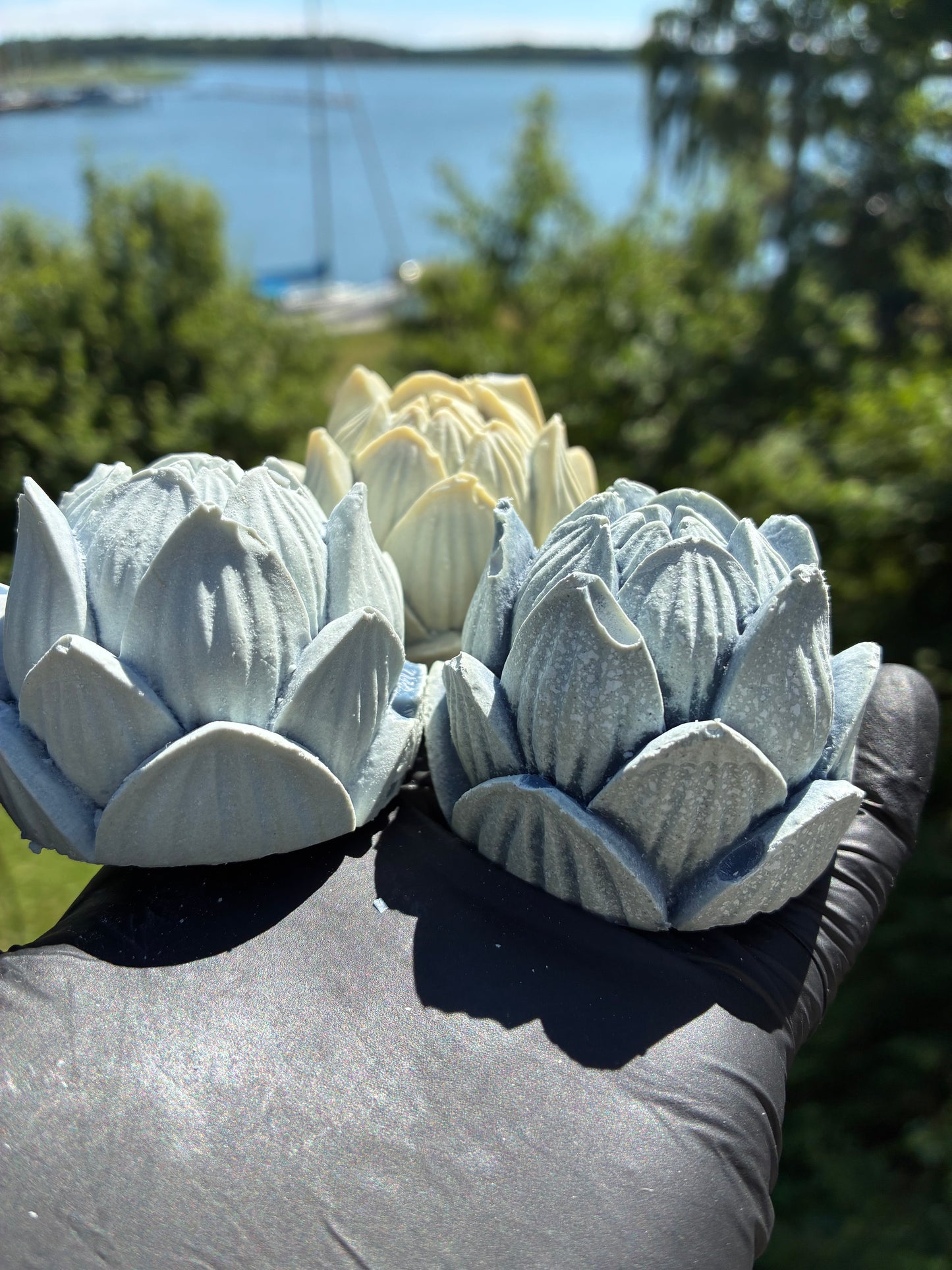 Zweiter Platz: Blauer Lotus