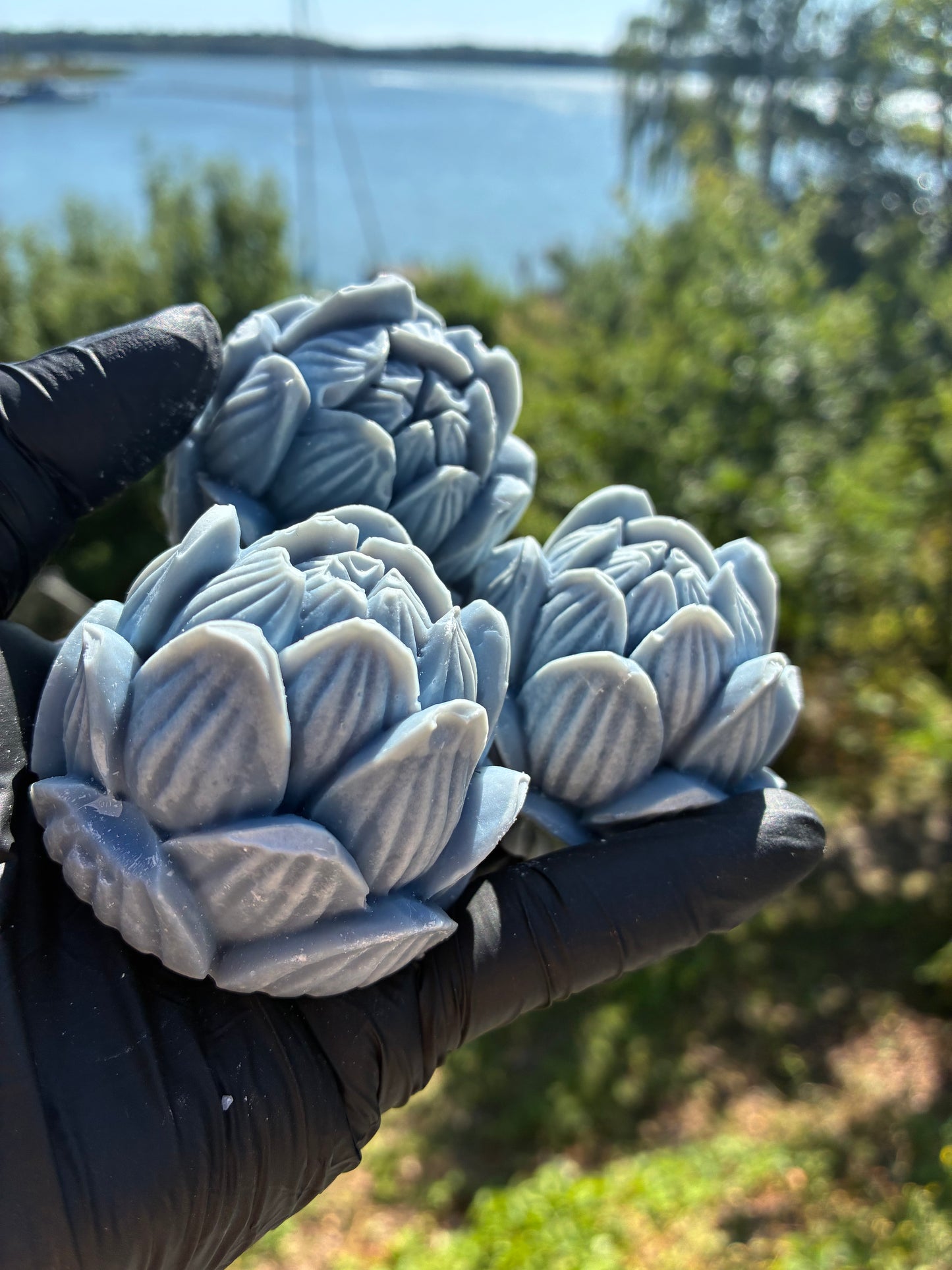 Andrasortering Blå lotus utan doft