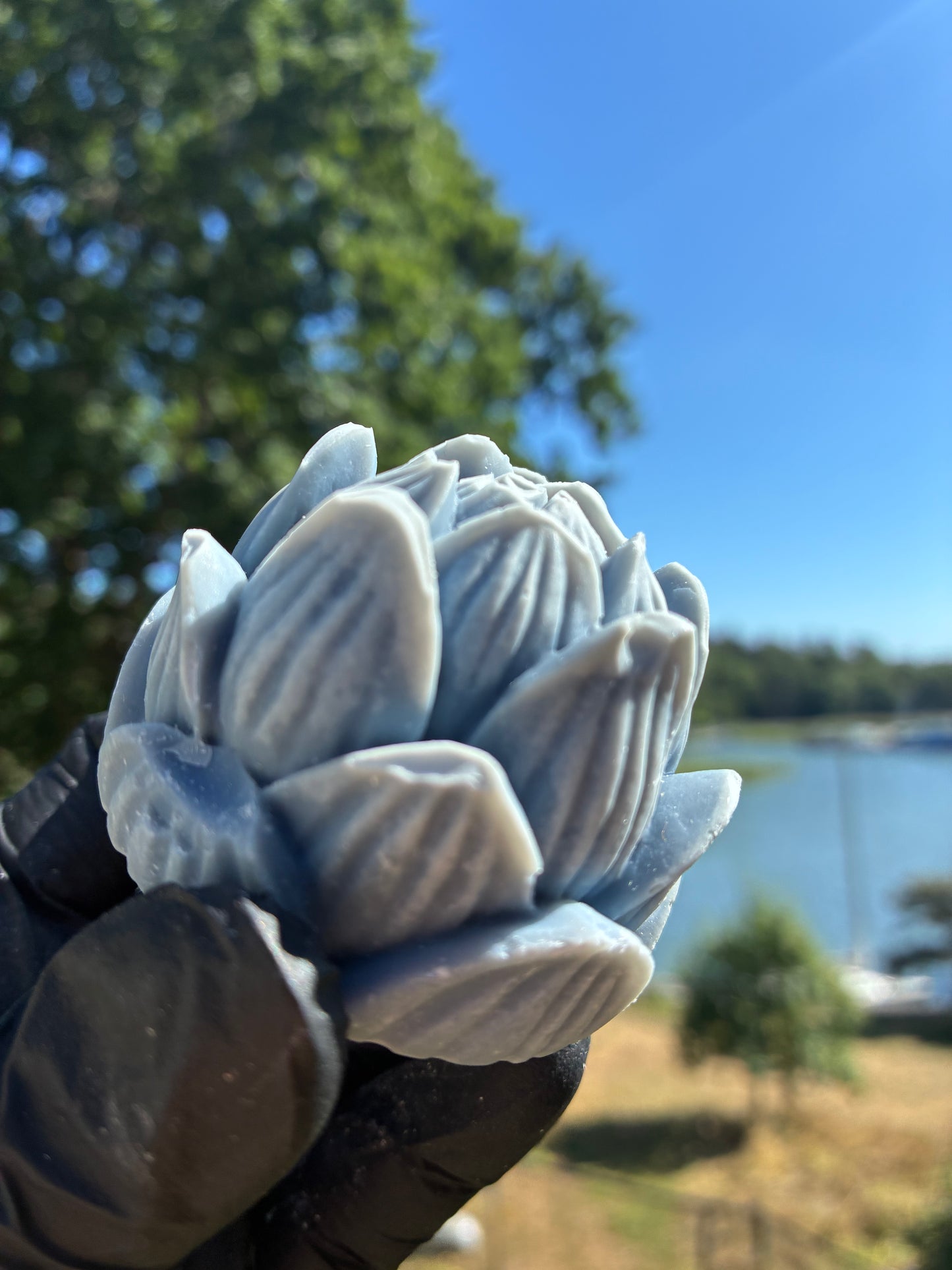 Andrasortering Blå lotus utan doft