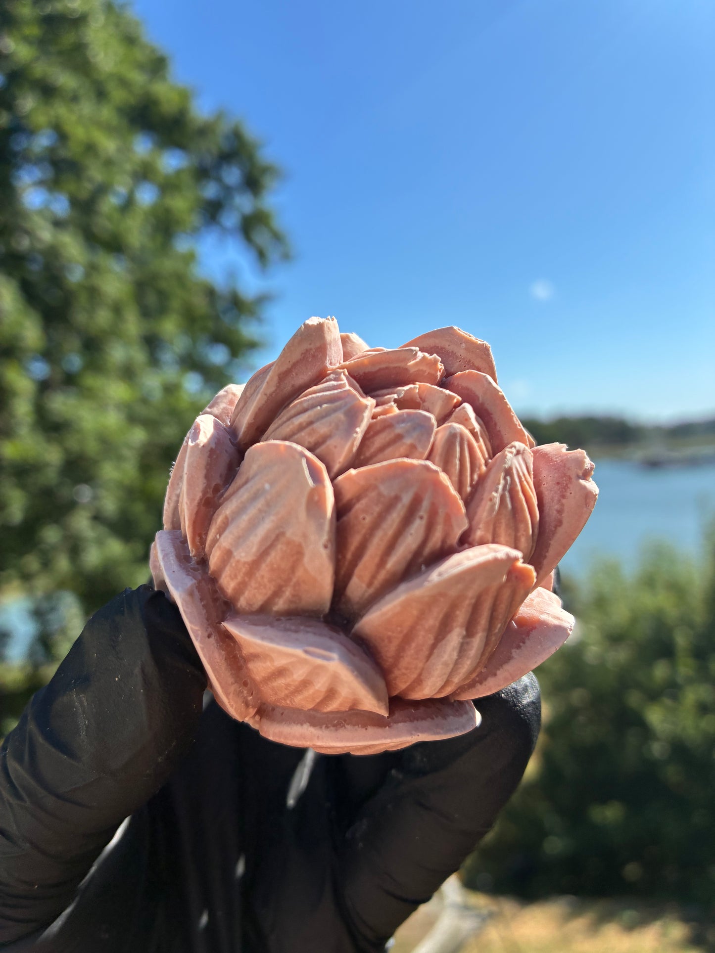 Andrasortering Rosa lotus