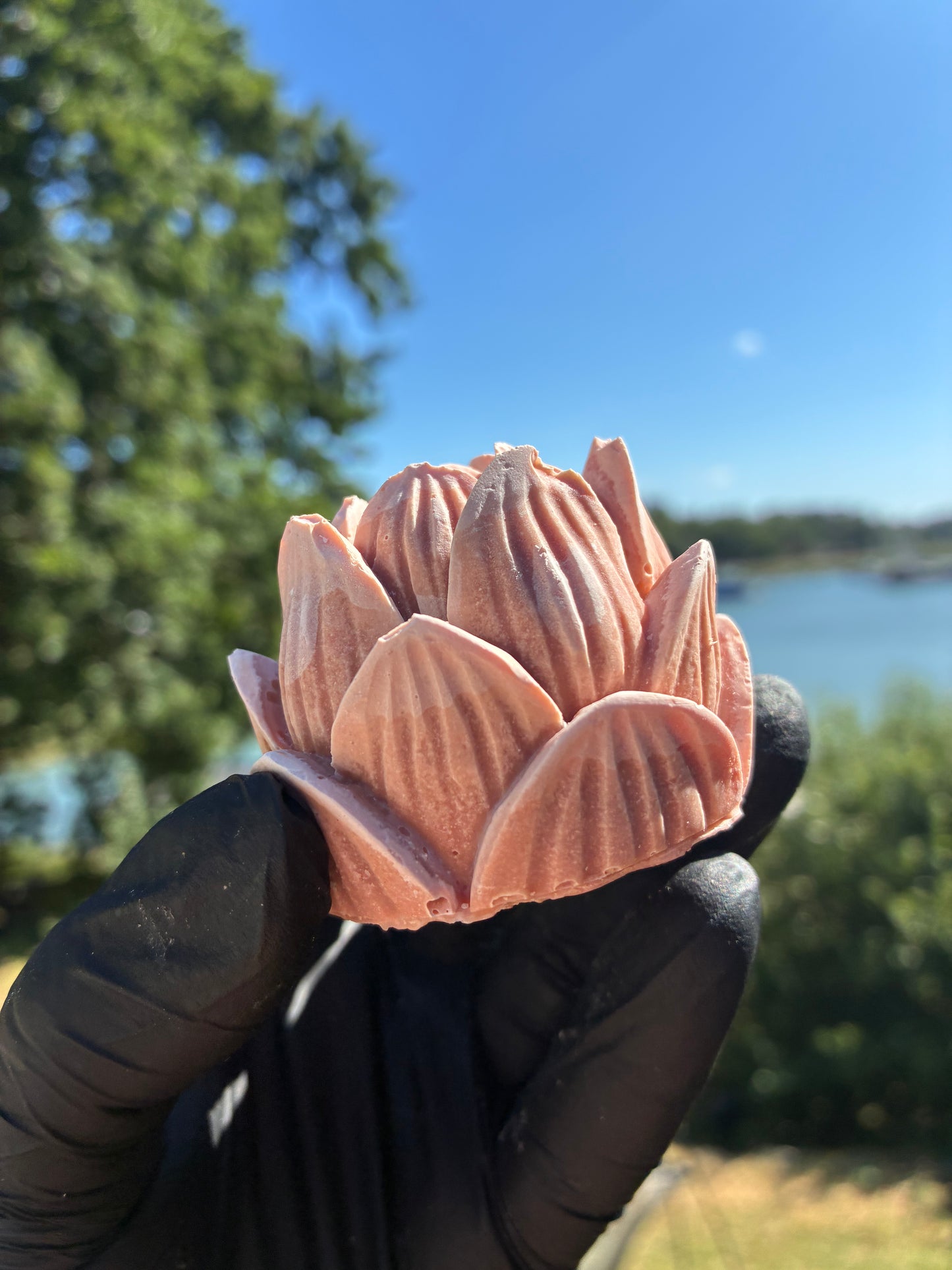 Andrasortering Rosa lotus
