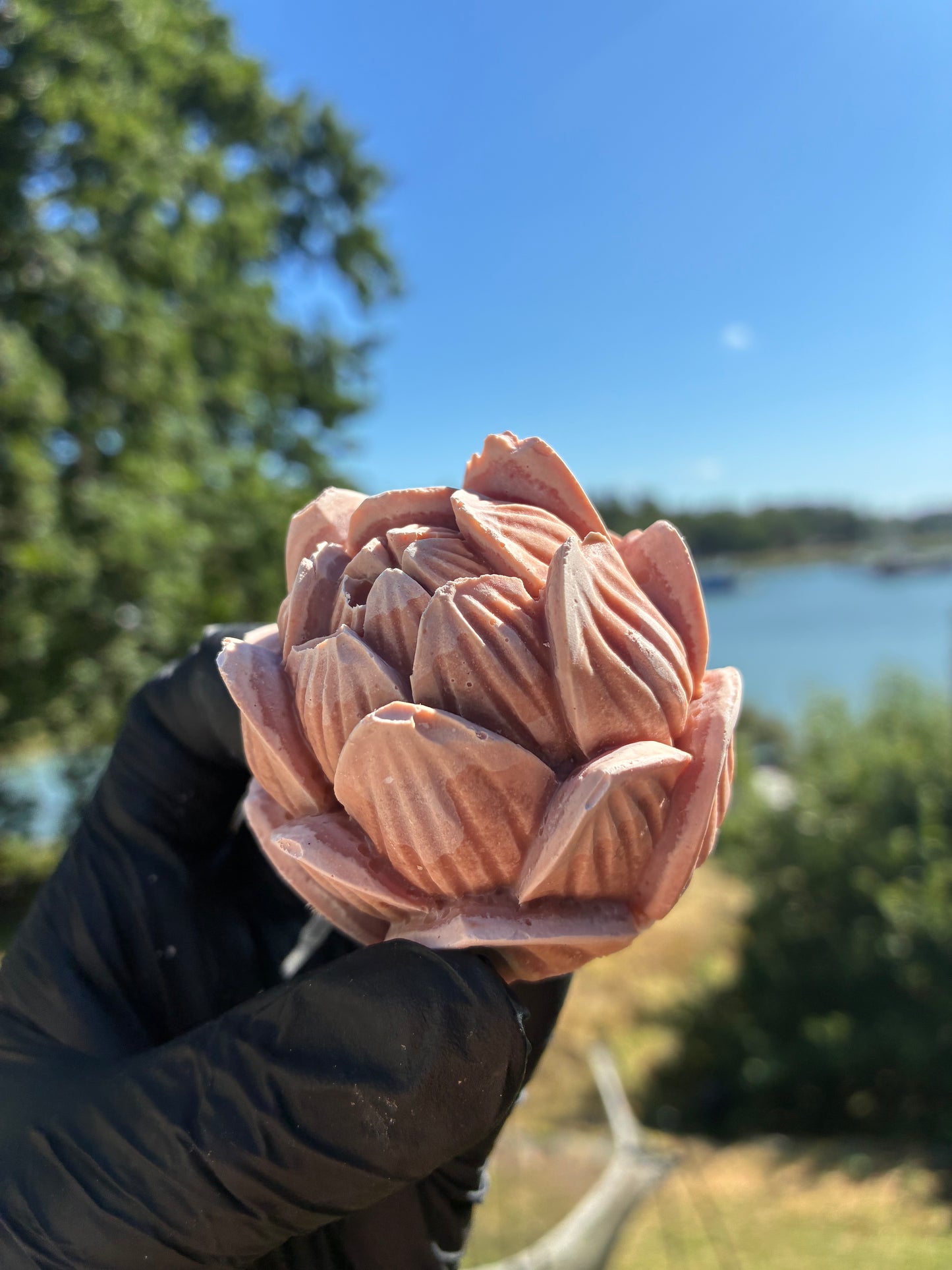 Andrasortering Rosa lotus