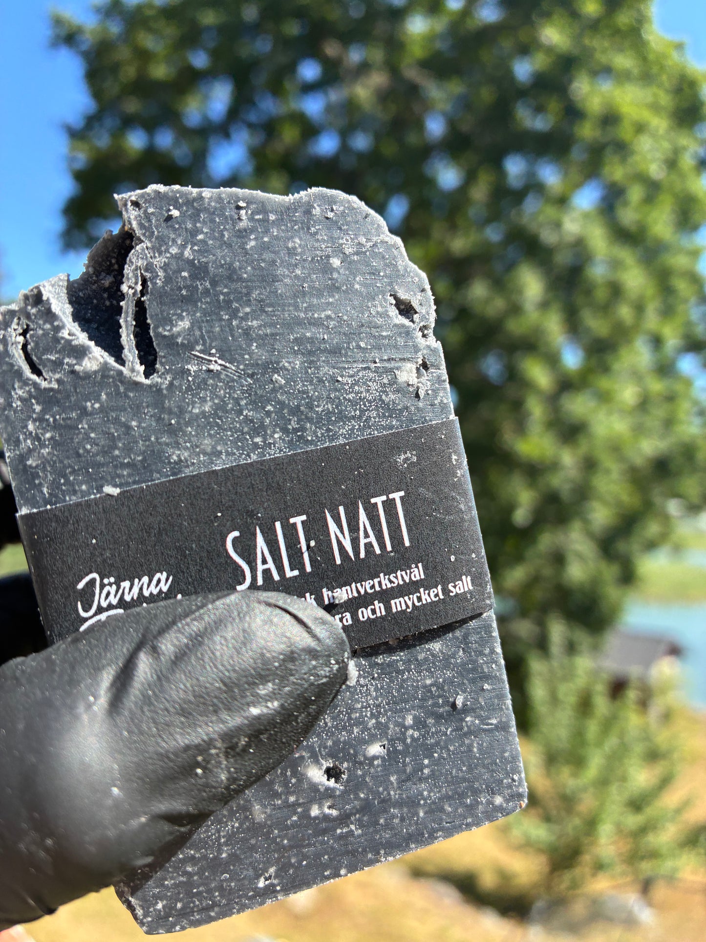 Andrasortering Salt natt